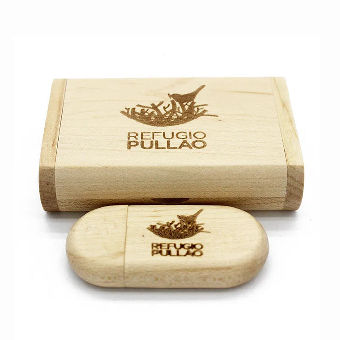 Chiavetta USB JASTER 128 GB Memory Stick 2.0 Logo gratuito in legno Pendrive personale personalizzato 4 GB 8 GB 16 GB 32 GB 64 GB Regalo di nozze