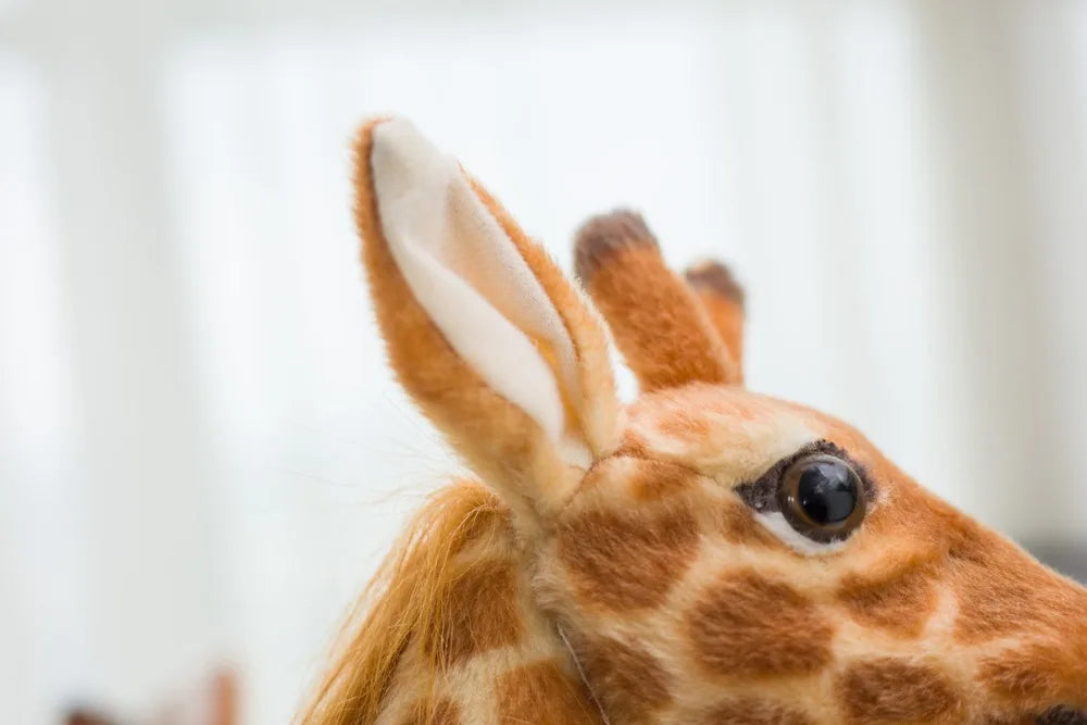 Enorme vita reale giraffa giocattoli di peluche bambole di peluche carine simulazione morbida bambola giraffa regalo di compleanno giocattolo per bambini arredamento camera da letto