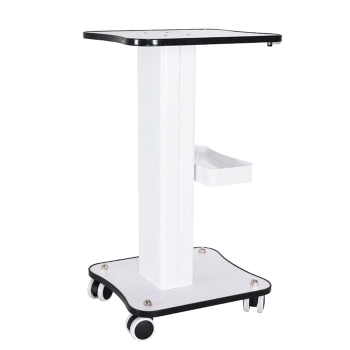 Carico massimo 40Kg Salon Table Trolley Stand Rolling Cart Beauty Wheel Holder Spa