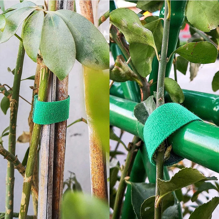 3 rotoli di spago da giardino verde fascette per piante fasciatura per piante in Nylon anello per gancio da giardino supporto per avvolgimento di canna di bambù accessori da giardino