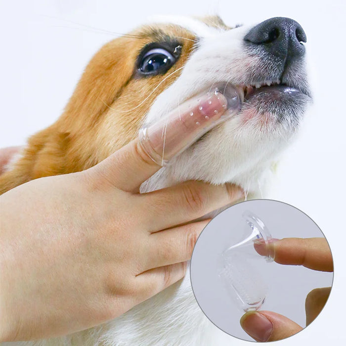 Super Soft Pet Finger spazzolino Teddy Dog Brush alitosi tartaro strumento per la cura dei denti cane gatto pulizia Silicagel Pet Supplies