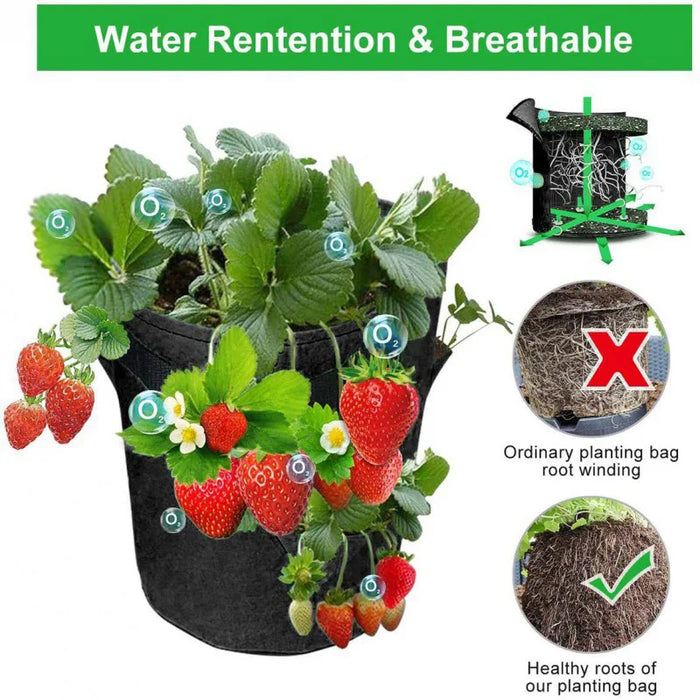 Borsa per la coltivazione della fragola primaverile borsa per la semina delle verdure Grow Pot Plant 5/7/10Gal Grow Bag Garden Terrace Multi-mouth Container Bags