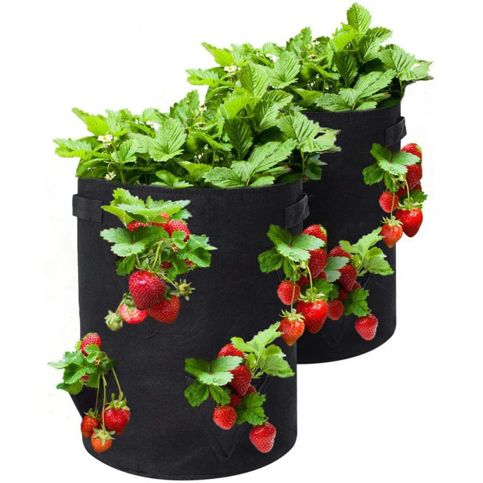 Borsa per la coltivazione della fragola primaverile borsa per la semina delle verdure Grow Pot Plant 5/7/10Gal Grow Bag Garden Terrace Multi-mouth Container Bags