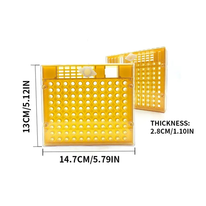 1pc Queen brewing Box Bee Incubator strumento di apicoltura incubatore di plastica Bee King scatola di allevamento a movimento libero gabbia per allevamento regina