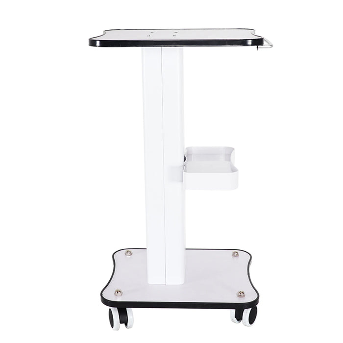 Carico massimo 40Kg Salon Table Trolley Stand Rolling Cart Beauty Wheel Holder Spa