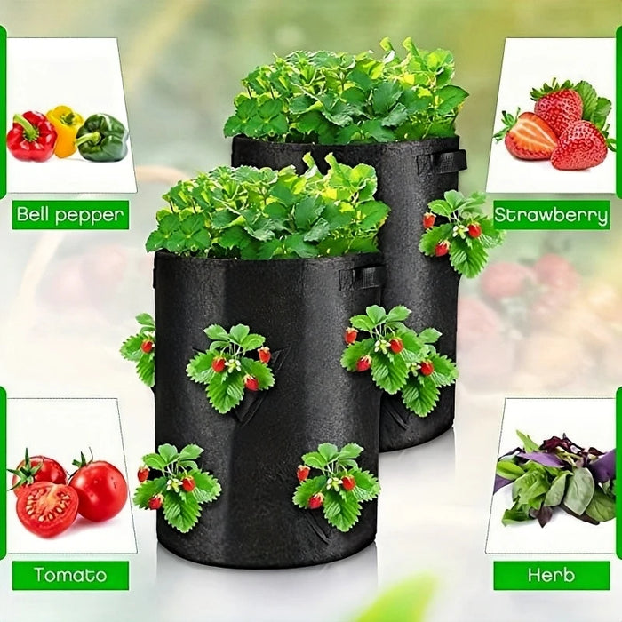 Borsa per la coltivazione della fragola primaverile borsa per la semina delle verdure Grow Pot Plant 5/7/10Gal Grow Bag Garden Terrace Multi-mouth Container Bags